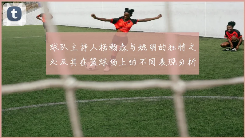 球队主持人杨瀚森与姚明的独特之处及其在篮球场上的不同表现分析